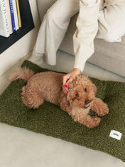 cafide-panier-tapis-pour-chien-premium-bela-bouclette-vert