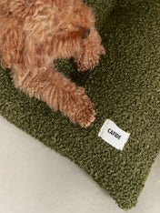 cafide-panier-tapis-pour-chien-premium-bela-bouclette-vert