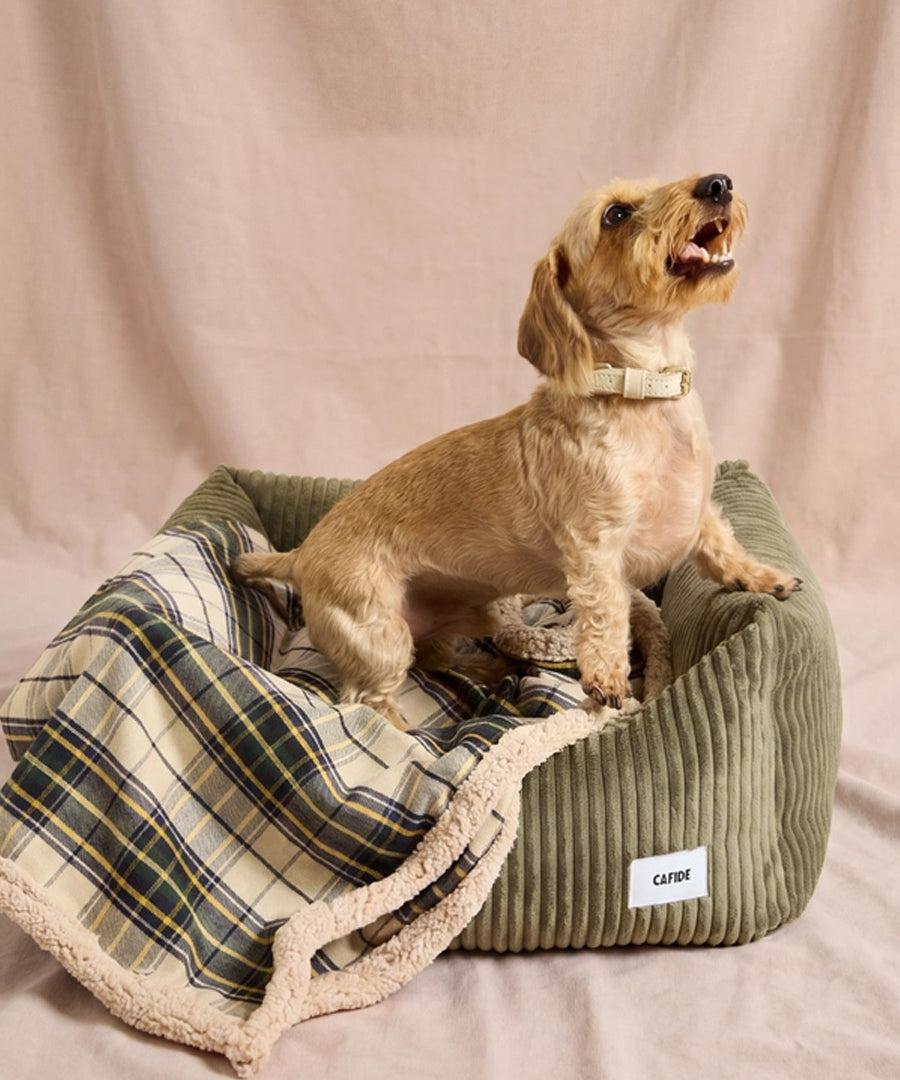 cafide-plaid-pour-chien-premium-douillet-toia-beige-Tartan