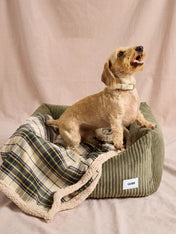 cafide-plaid-pour-chien-premium-douillet-toia-beige-Tartan