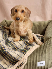 cafide-plaid-pour-chien-premium-douillet-toia-beige-Tartan