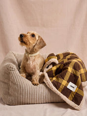 cafide-plaid-pour-chien-premium-douillet-toia-jaune-Moutard-Tartan