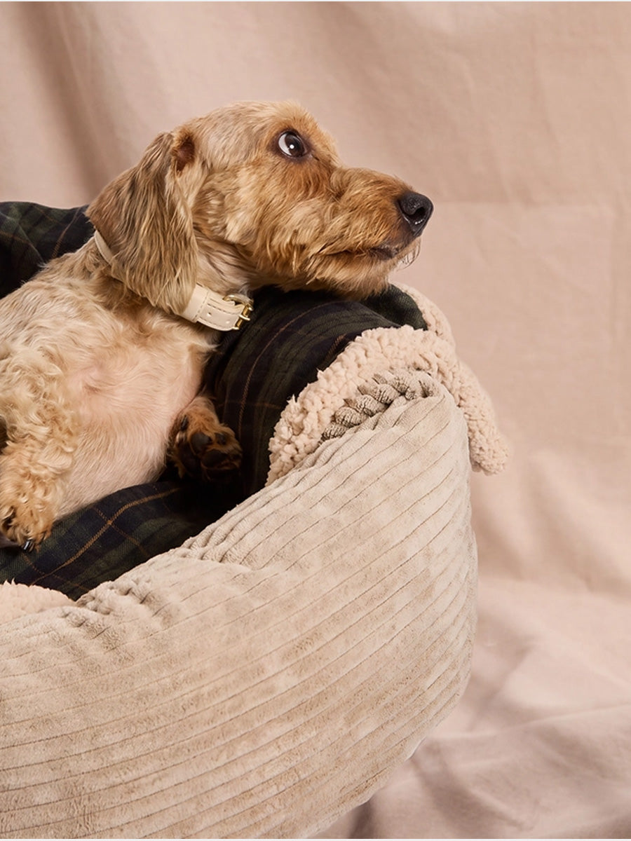 cafide-plaid-pour-chien-premium-douillet-toia-vert-Tartan
