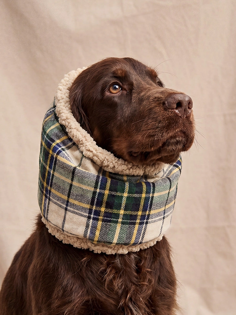 cafide-snood-pour-chien-premium-Olga-beige-Tartan