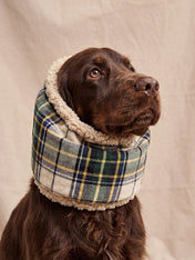 cafide-snood-pour-chien-premium-Olga-beige-Tartan
