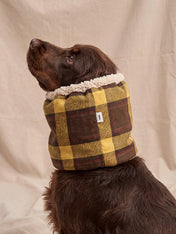 cafide-snood-pour-chien-premium-Olga-jaune-Moutard-Tartan