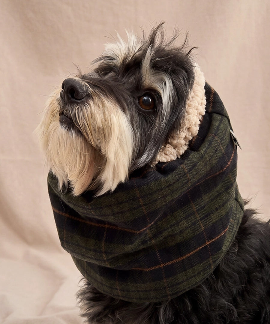 cafide-snood-pour-chien-premium-Olga-vert-Tartan