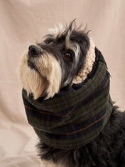 cafide-snood-pour-chien-premium-Olga-vert-Tartan