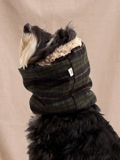 cafide-snood-pour-chien-premium-Olga-vert-Tartan