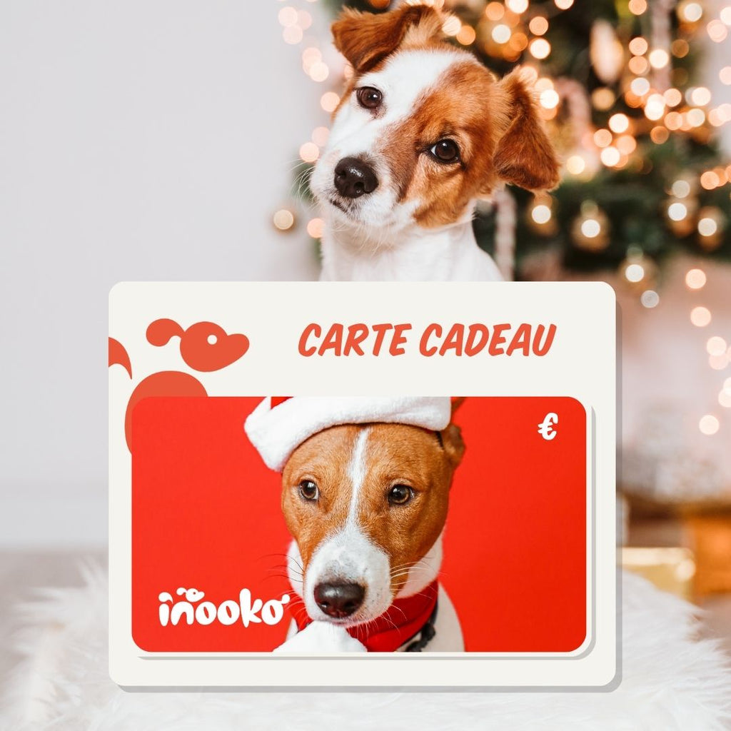 inooko - Boutique d'accessoires de qualité pour chien et chat