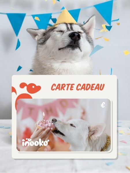 carte cadeau inooko