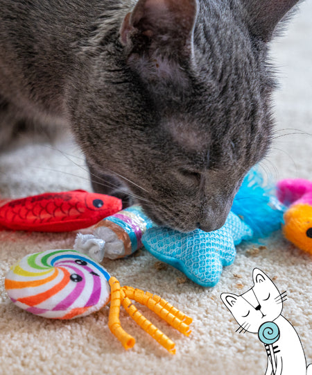 catstages-jouet-lot-6-peluches-pour-chat-kitty-sweet-treats
