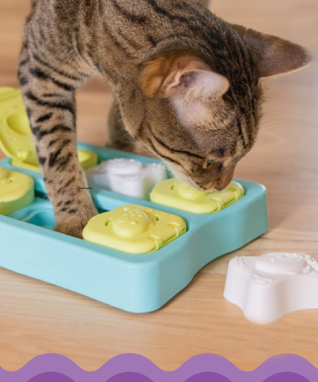 catstages-jouet-puzzle-interactif-pour-chat-Kitty-Cube