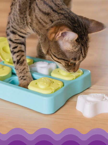 catstages-jouet-puzzle-interactif-pour-chat-Kitty-Cube