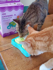 catstages-jouet-puzzle-interactif-pour-chat-Kitty-Cube
