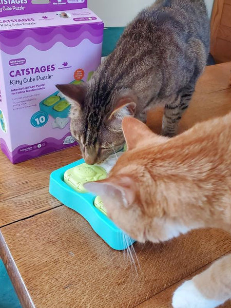 catstages-jouet-puzzle-interactif-pour-chat-Kitty-Cube
