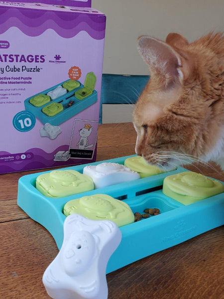 catstages-jouet-puzzle-interactif-pour-chat-Kitty-Cube