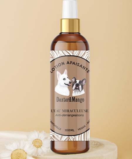     dexter-et-mango-soins-pour-chien-Eau-Miraculeuse-anti-demangeaisons