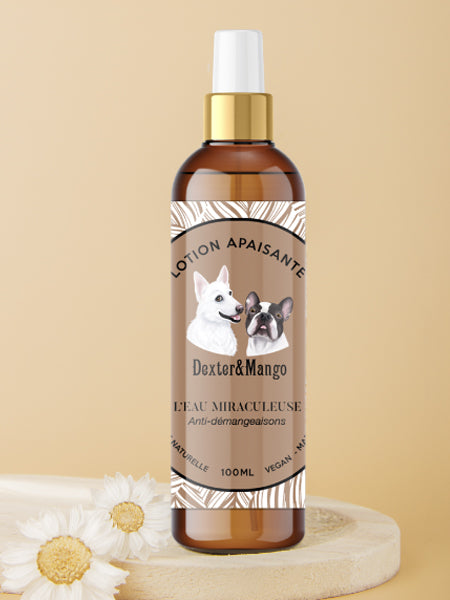     dexter-et-mango-soins-pour-chien-Eau-Miraculeuse-anti-demangeaisons