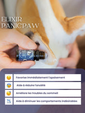 dexter-et-mango-soins-pour-chien-Roll-on-anti-stress-pour-chien-Panic_paw-elixir-de-serenite