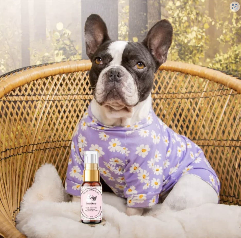 inooko - Boutique d'accessoires de qualité pour chien et chat