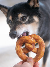 duvo-_-friandises-a-macher-pretzel-pour-chien-poulet