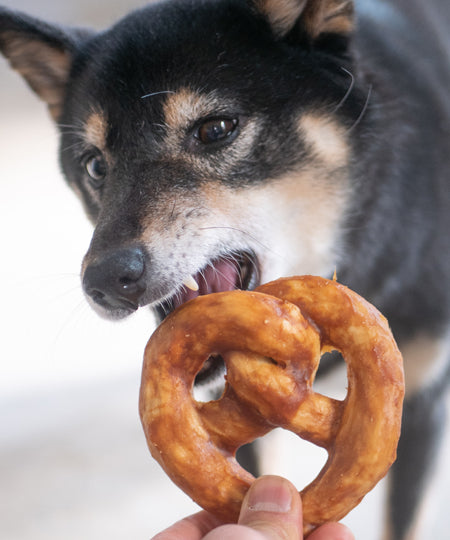 duvo-_-friandises-a-macher-pretzel-pour-chien-poulet