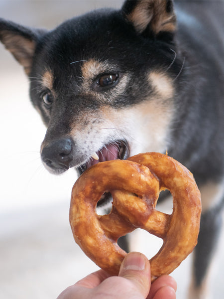 duvo-_-friandises-a-macher-pretzel-pour-chien-poulet