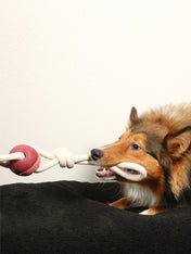 duvo-+-jouet-balle-corde-pour-chien-chiot-yara-rosewood