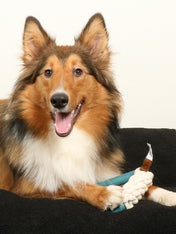 duvo jouet triangle corde pour chien chiot Milan lagoon