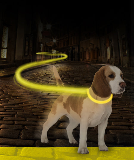     duvo-_Collier-lumineux-pour-chien-SEEcurity-rechargeable-jaune