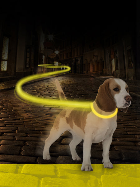     duvo-_Collier-lumineux-pour-chien-SEEcurity-rechargeable-jaune