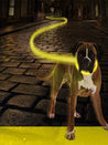     duvo-_Collier-lumineux-pour-chien-SEEcurity-rechargeable-jaune