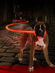     duvo-_Collier-lumineux-pour-chien-SEEcurity-rechargeable-rouge