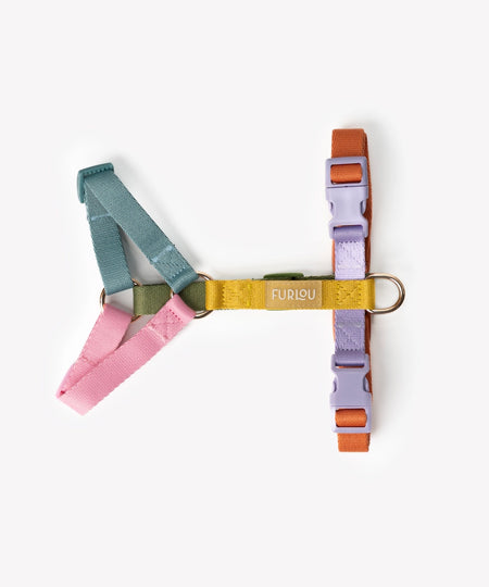 furlou-harnais-pour-chien-Rainbow