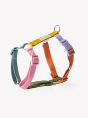 furlou-harnais-pour-chien-Rainbow