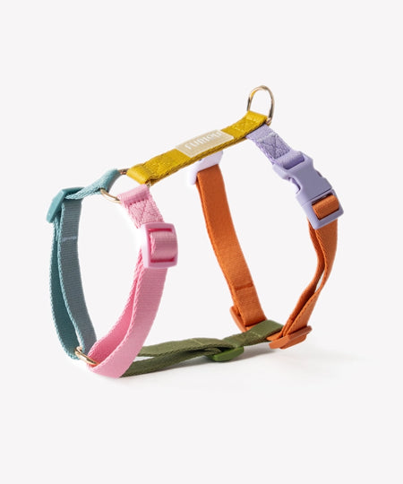 furlou-harnais-pour-chien-Rainbow