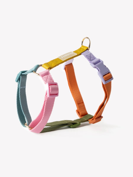 furlou-harnais-pour-chien-Rainbow