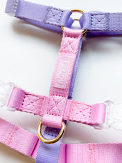     furlou-harnais-pour-chien-Unicorn