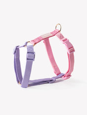 furlou-harnais-pour-chien-Unicorn