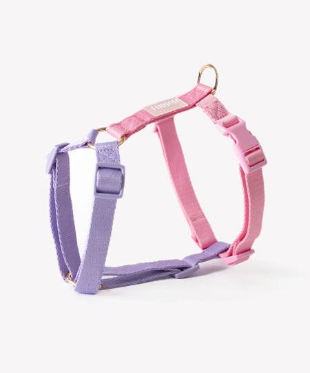 furlou-harnais-pour-chien-Unicorn