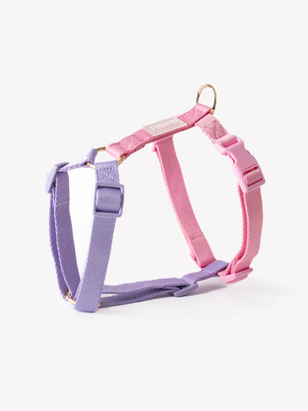 furlou-harnais-pour-chien-Unicorn