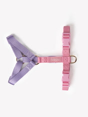 furlou-harnais-pour-chien-Unicorn