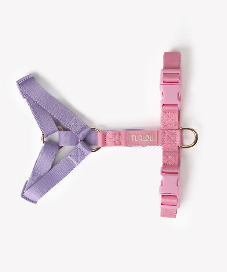 furlou-harnais-pour-chien-Unicorn