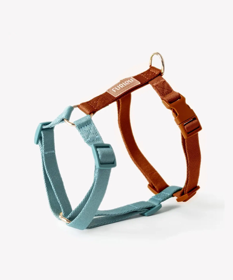 furlou-harnais-pour-chien-blue-Clay