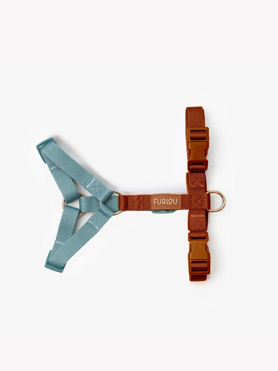 furlou-harnais-pour-chien-blue-Clay