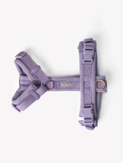 furlou-harnais-pour-chien-comfort-Lavender