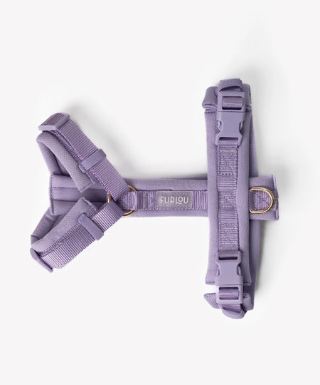furlou-harnais-pour-chien-comfort-Lavender
