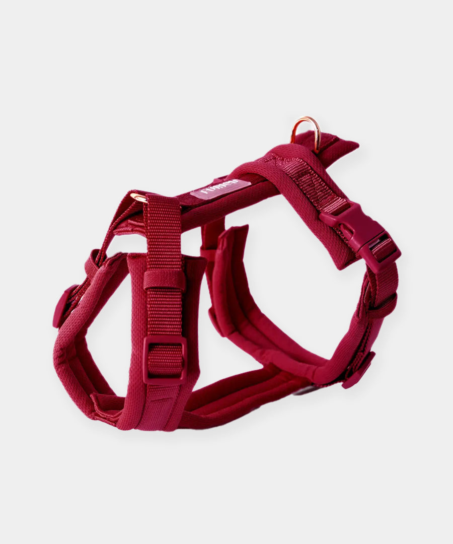 furlou-harnais-pour-chien-comfort-bordeaux