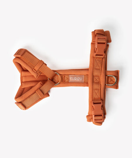 furlou-harnais-pour-chien-comfort-terracotta